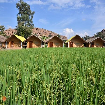 Dream Mango Hampi Hotel Exterior photo
